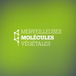 Merveilleuses molécules végétales